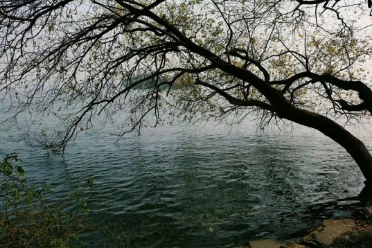 9c52n9ifqoo7cjv3z9znma