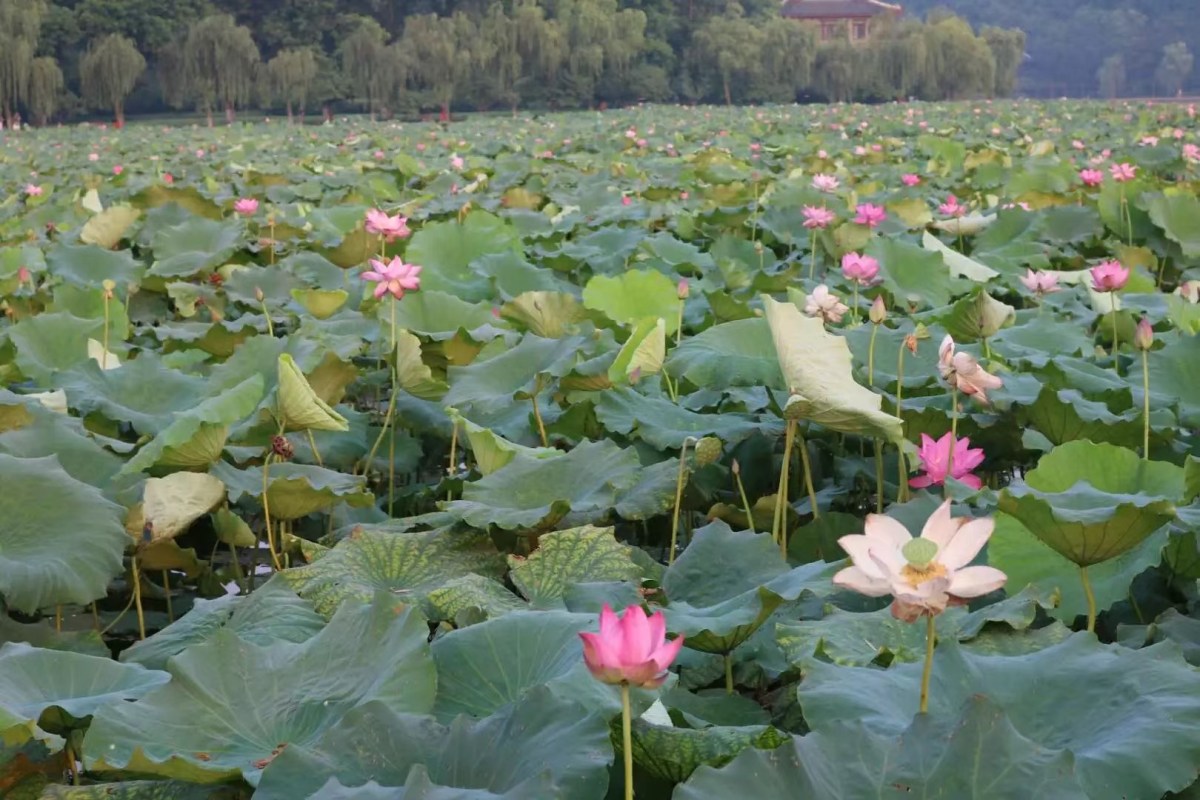 j0hgywbvr1uhbs2tslq%sg