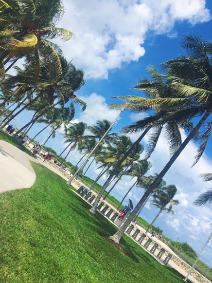 Processed with VSCO with f2 preset