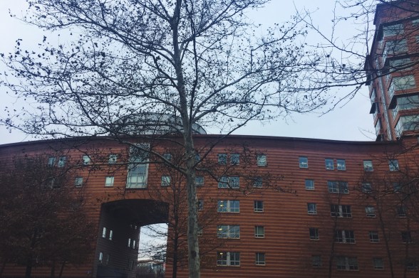 Processed with VSCO with f2 preset